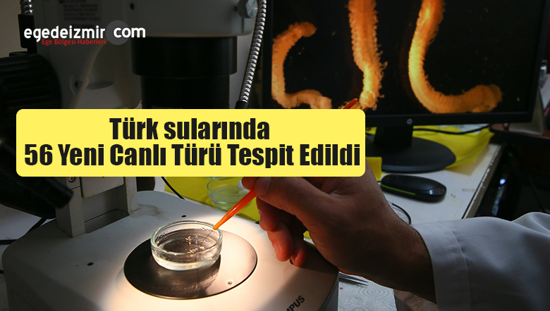 yeni canlı türü