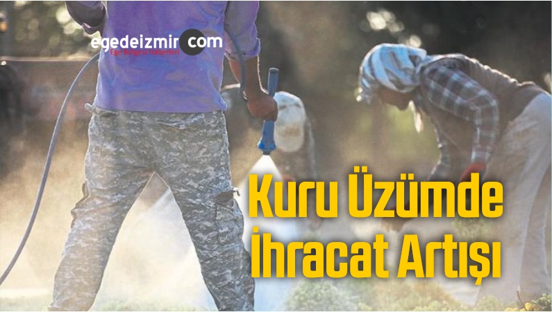 İHRACAAT
