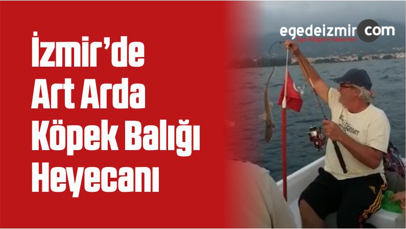 İzmir’de Art Arda Köpek Balığı