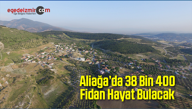 38 Bin 400 Fidan