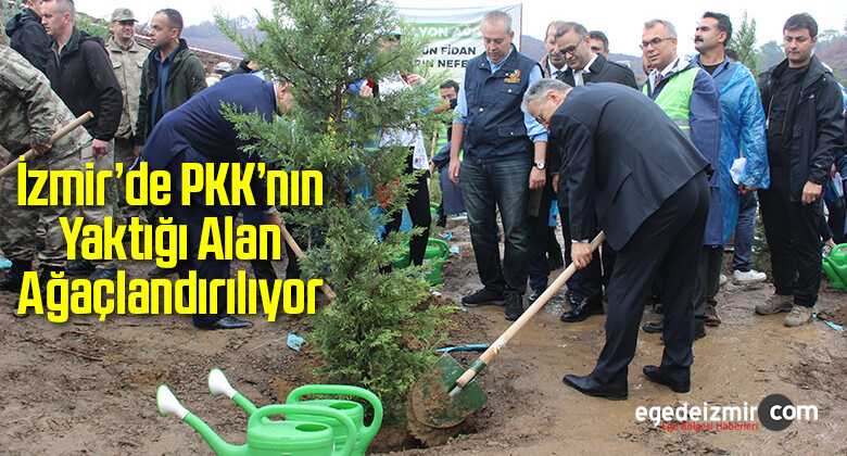 İzmir’de PKK’nın Yaktığı Alan Ağaçlandırılıyor