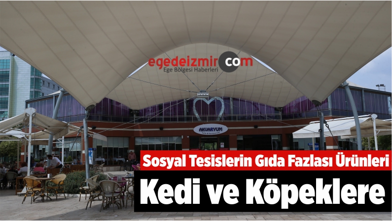 Sosyal Tesislerin Gıda Fazlası Ürünleri Kedi ve Köpeklere
