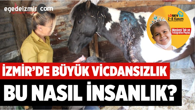 VİCDANSIZLIK