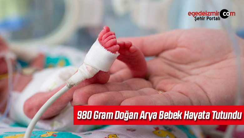 arya bebek
