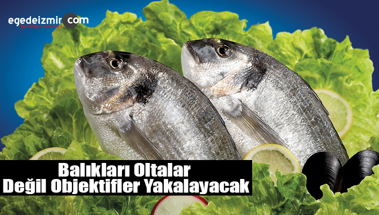 balık