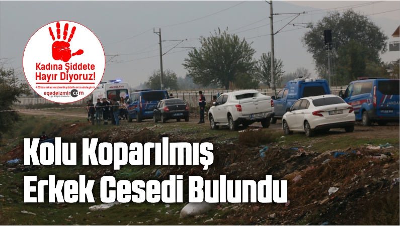 cesedi