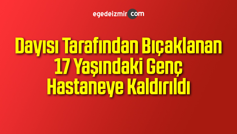 Dayısı Tarafından