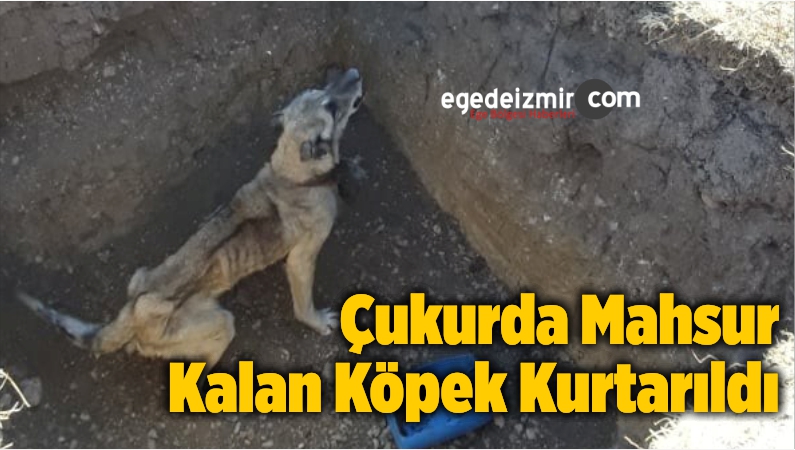 mahsur