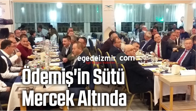 Ödemiş'in Sütü Mercek Altında