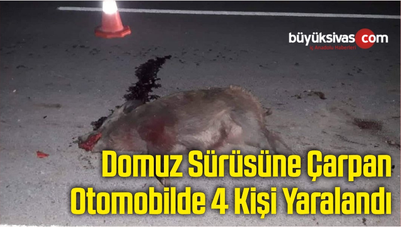 DOMUZ