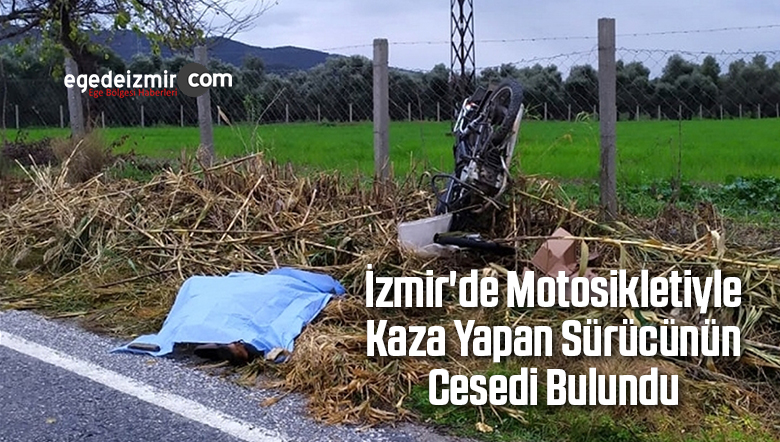 Sürücünün Cesedi