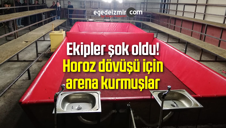 Dövüşler İçin Arena Kurulması Ekipleri Bile ŞaşırttıEge�de izmir Haber