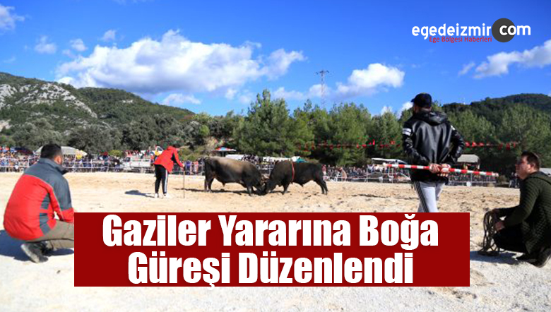 boğa güreşi