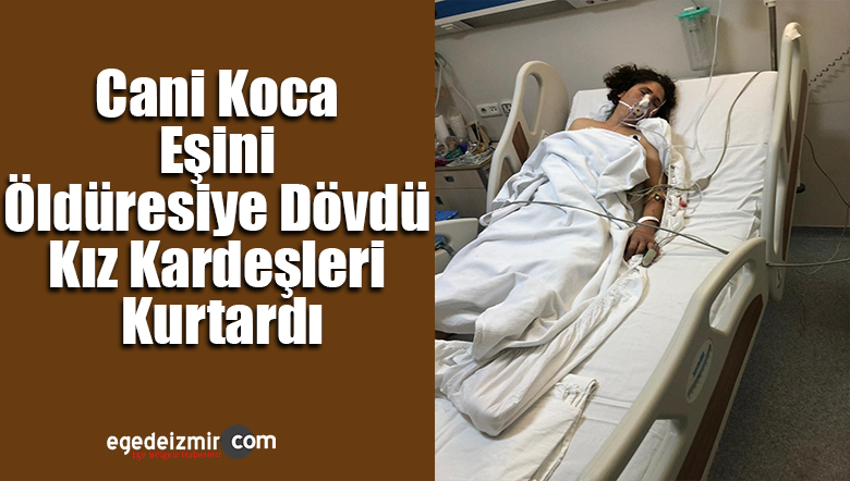 cani koca