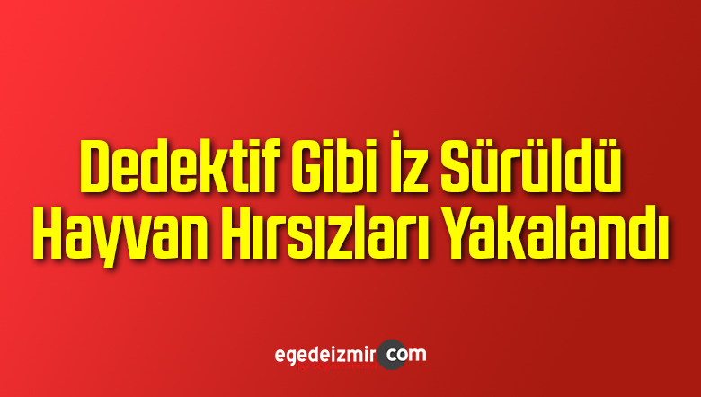 Hayvan Hırsızlığı Olayı