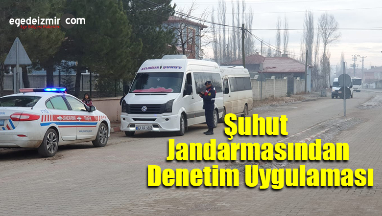 denetim