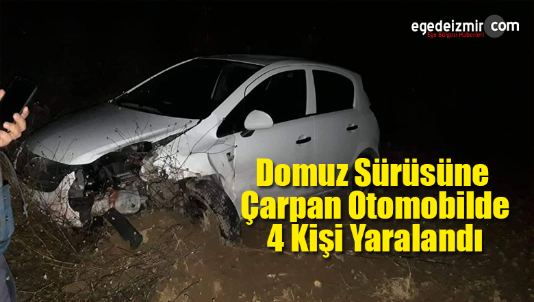 domuz