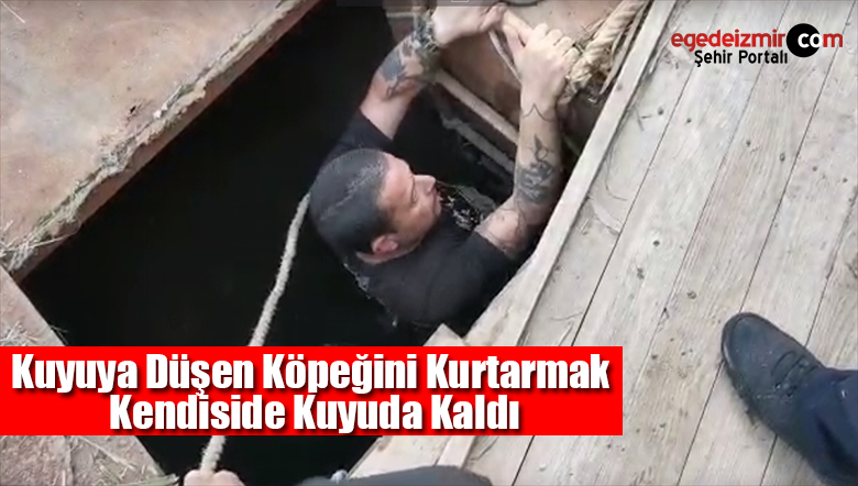 kuyuya düşen köpeği