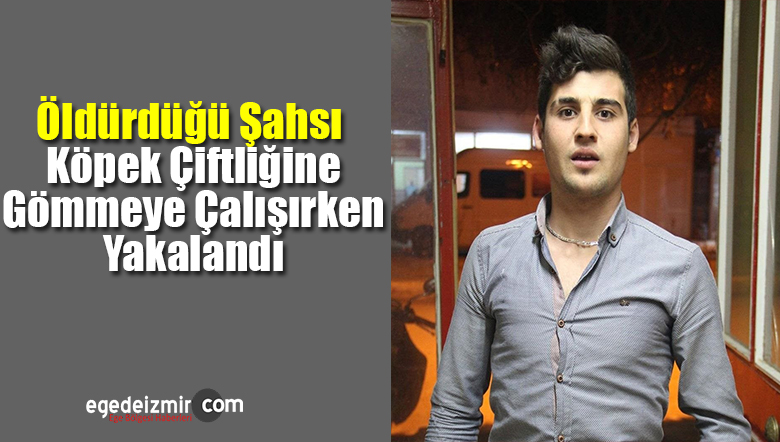 köpek çiftliği