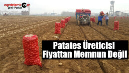İzmir’in Ödemiş İlçesinde Patates Üreticisi Fiyattan Memnun Değil