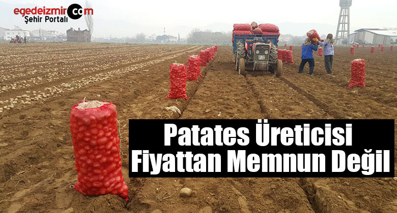 İzmir’in Ödemiş İlçesinde Patates Üreticisi Fiyattan Memnun Değil