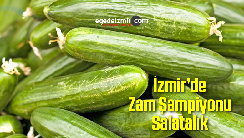 En Fazla Artan