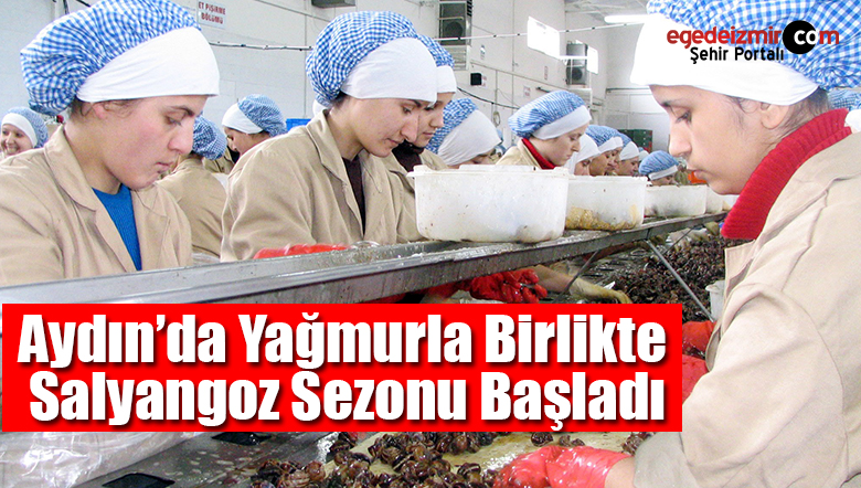 salyangoz