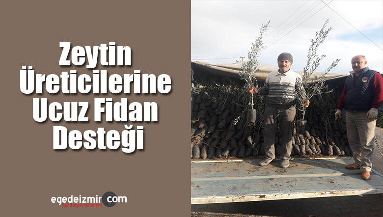 zeytin