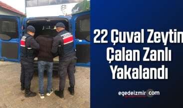 22 Çuval Zeytin Çalan Zanlı Yakalandı
