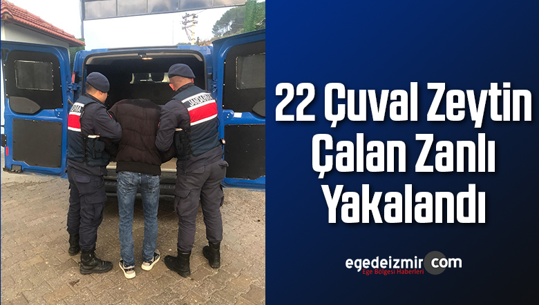22 Çuval Zeytin