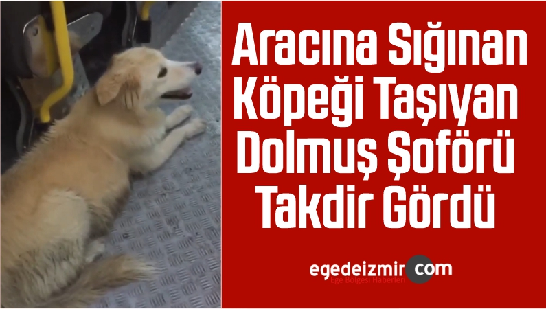 Aracına Sığınan