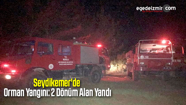 Orman Yangını