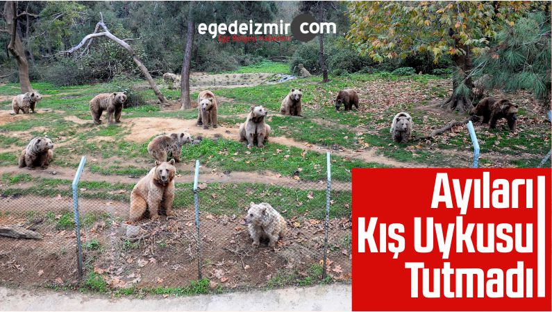 Tutmadı