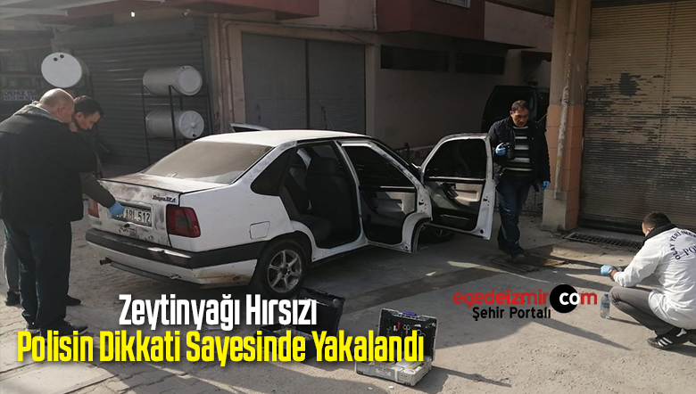 Zeytinyağı Hırsızı