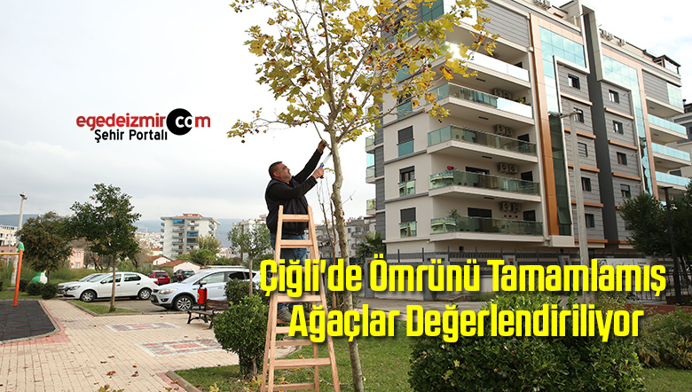 ağaçlar