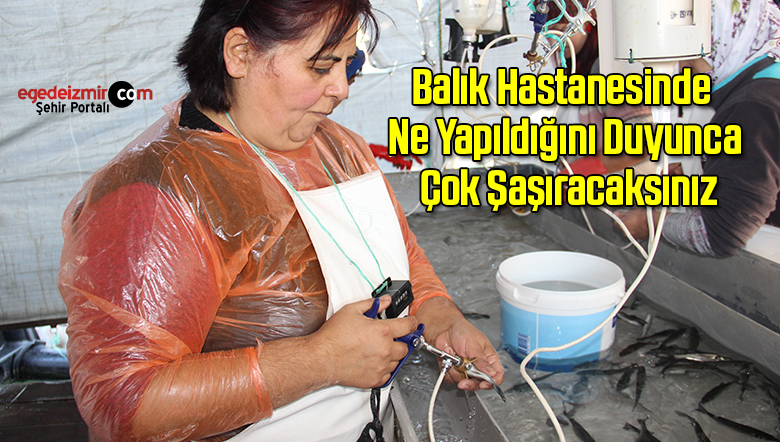 balıkhastanesinde