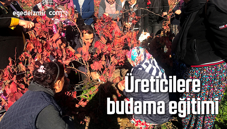 Bağda Budama