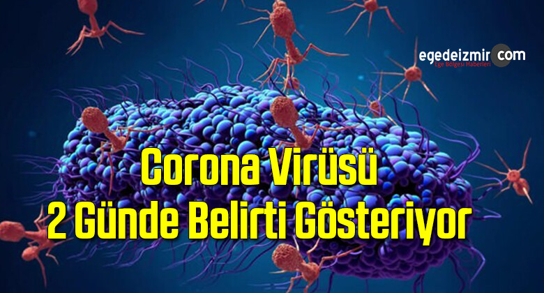 Corona Virüsü 2 Günde Belirti Gösteriyor