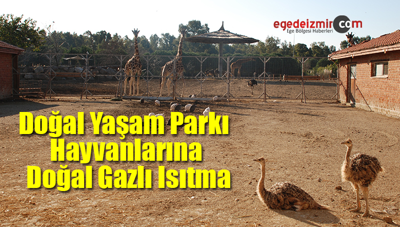 doğal yaşam