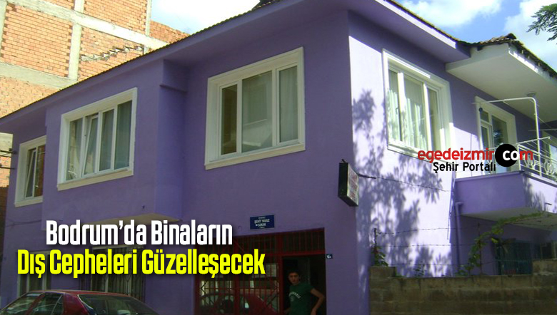 dış cephe