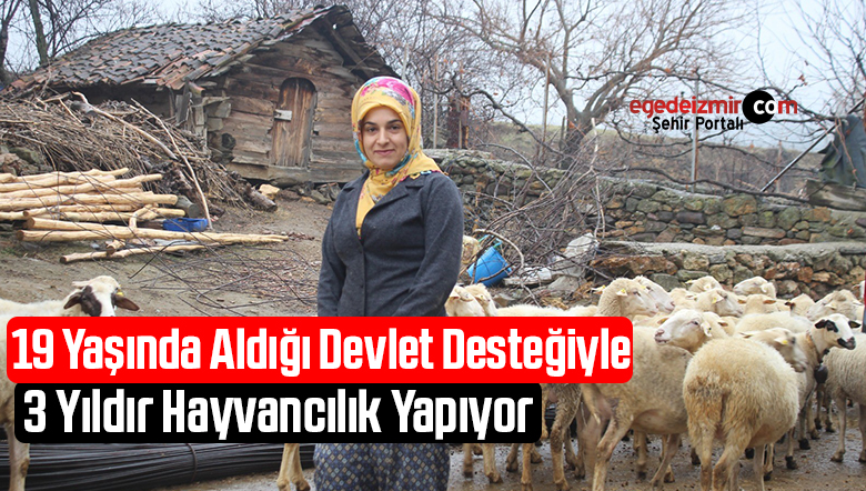hayvancılık