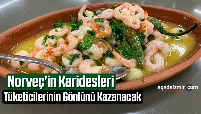 karidesleri