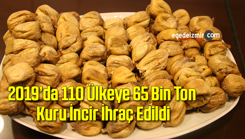 kuru incir