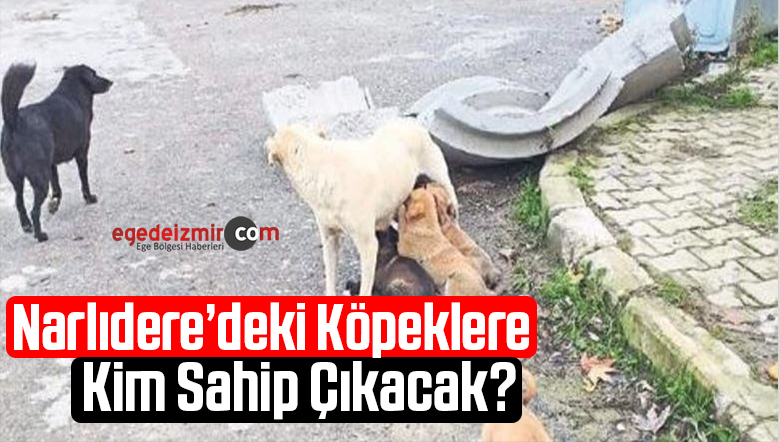 köpeklere