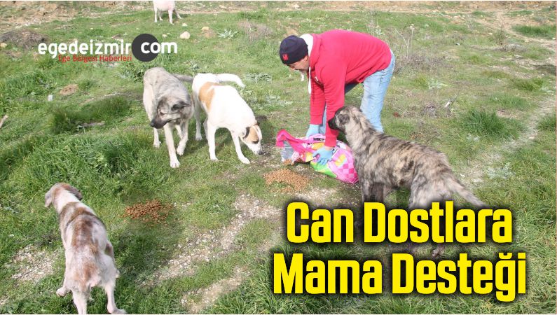 mama
