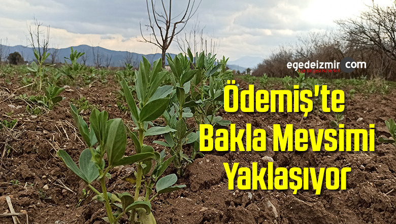 ödemiş