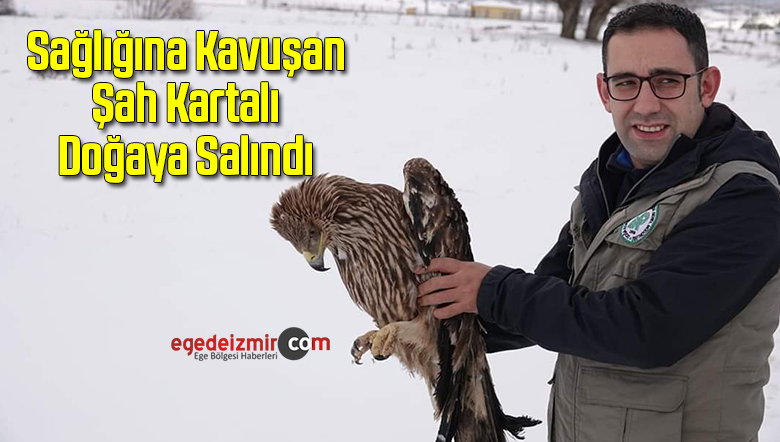 şah
