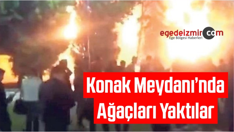Ağaçları Yaktılar