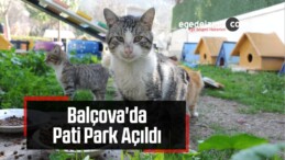 Balçova’da Pati Park Açıldı