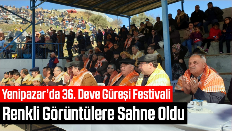 Yenipazar’da 36. Deve Güreşi Festivali Renkli Görüntülere Sahne Oldu